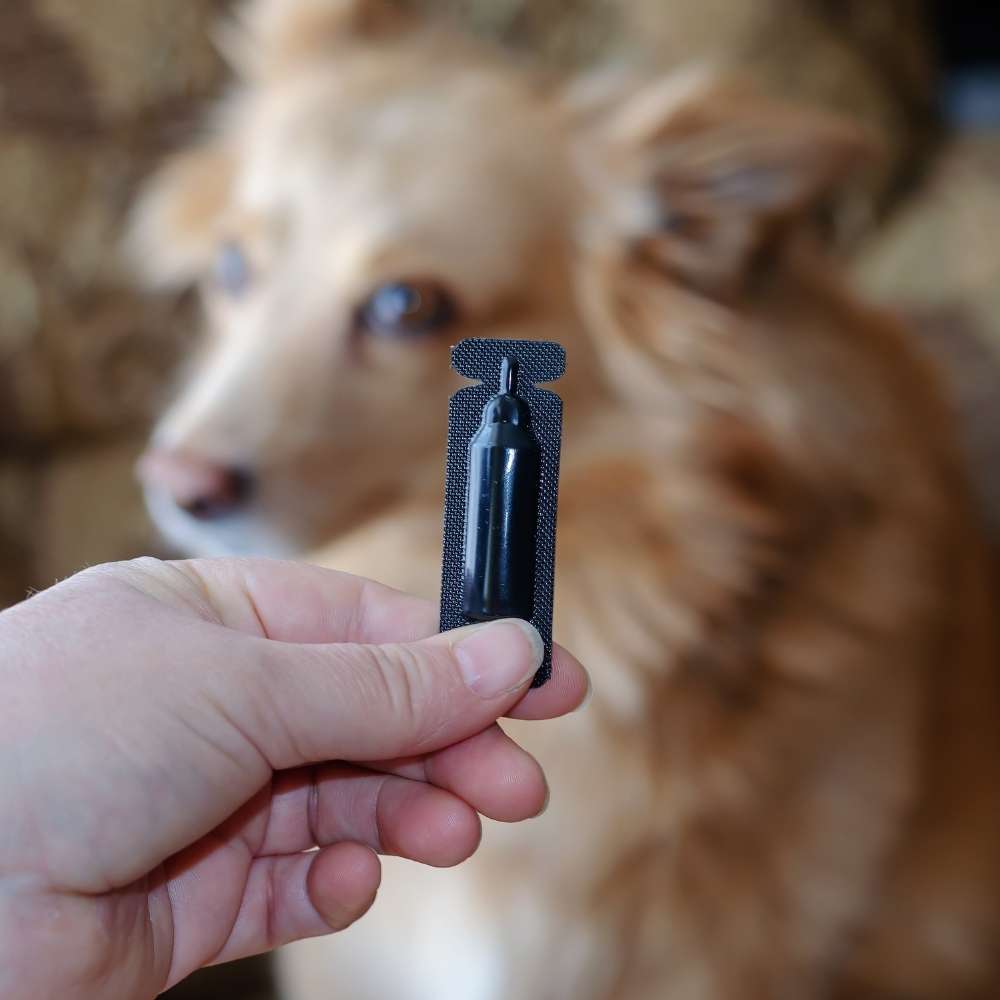 Köpek Dış Parazit Damlası