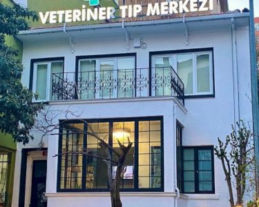 suadiye veteriner